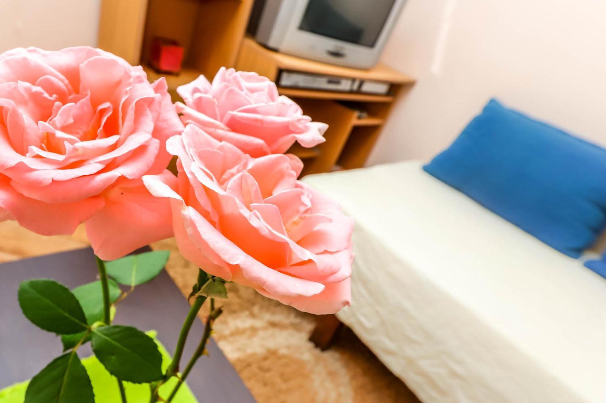 דוני מוריני Apartments Zeko מראה חיצוני תמונה